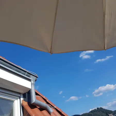 Nest Apartment Bad Harzburg