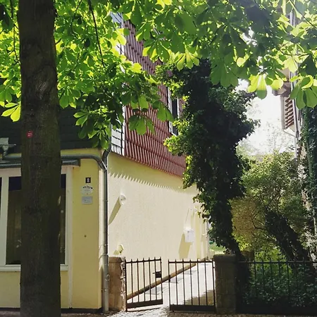 Nest Apartament