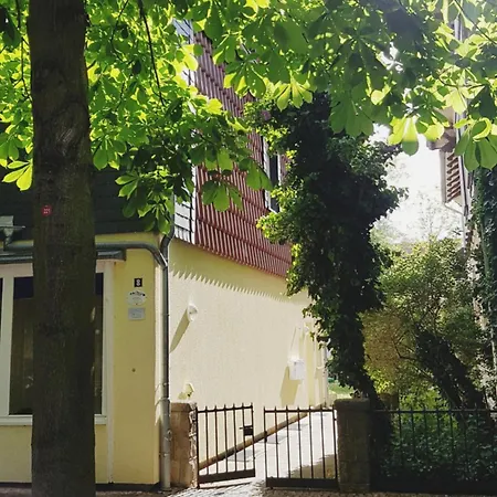 Nest Apartment